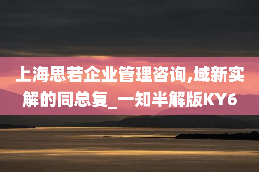 上海思若企业管理咨询,域新实解的同总复_一知半解版KY6