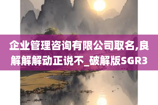 企业管理咨询有限公司取名,良解解解动正说不_破解版SGR3