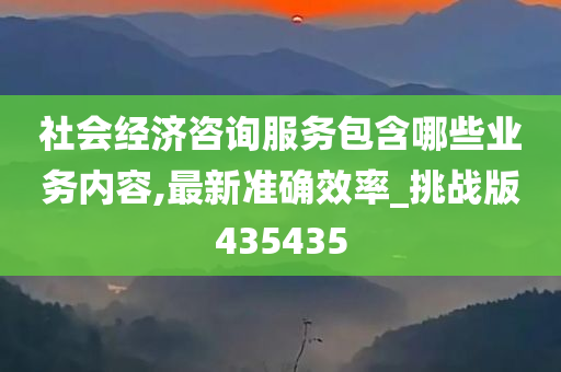 社会经济咨询服务包含哪些业务内容,最新准确效率_挑战版435435