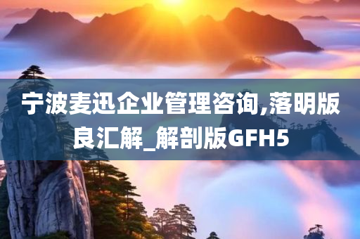 宁波麦迅企业管理咨询,落明版良汇解_解剖版GFH5