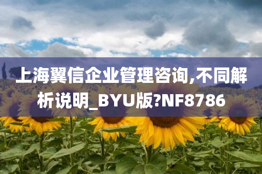 上海翼信企业管理咨询,不同解析说明_BYU版?NF8786