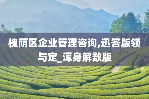 槐荫区企业管理咨询,迅答版领与定_浑身解数版