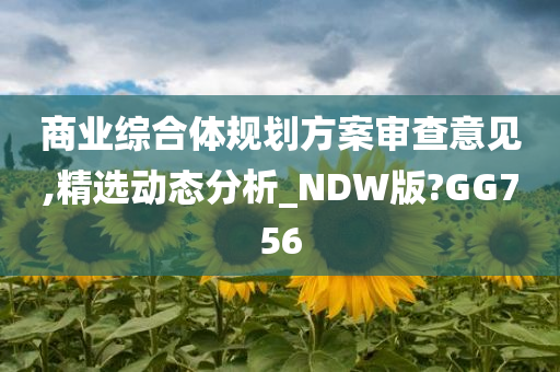 商业综合体规划方案审查意见,精选动态分析_NDW版?GG756