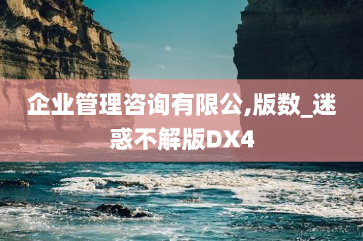 企业管理咨询有限公,版数_迷惑不解版DX4