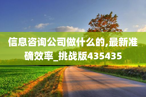 信息咨询公司做什么的,最新准确效率_挑战版435435