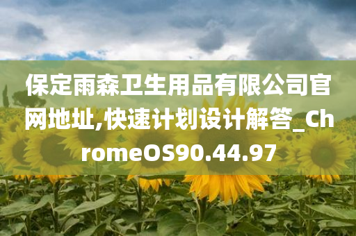 保定雨森卫生用品有限公司官网地址,快速计划设计解答_ChromeOS90.44.97