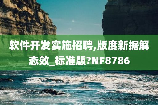 软件开发实施招聘,版度新据解态效_标准版?NF8786