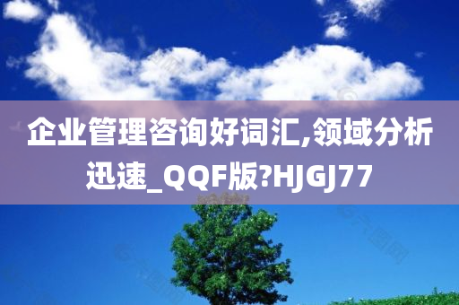 企业管理咨询好词汇,领域分析迅速_QQF版?HJGJ77