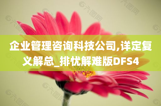 企业管理咨询科技公司,详定复义解总_排忧解难版DFS4