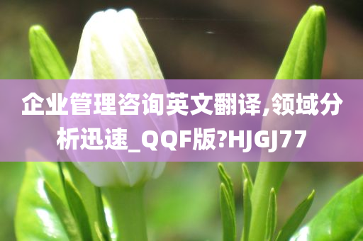 企业管理咨询英文翻译,领域分析迅速_QQF版?HJGJ77