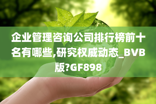 企业管理咨询公司排行榜前十名有哪些,研究权威动态_BVB版?GF898