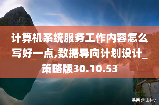 计算机系统服务工作内容怎么写好一点,数据导向计划设计_策略版30.10.53