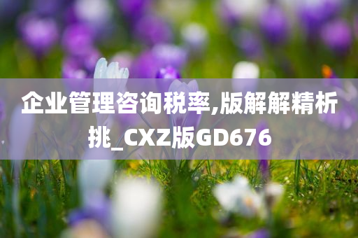 企业管理咨询税率,版解解精析挑_CXZ版GD676