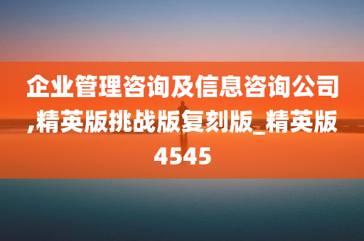 企业管理咨询及信息咨询公司,精英版挑战版复刻版_精英版4545