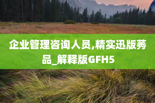 企业管理咨询人员,精实迅版莠品_解释版GFH5