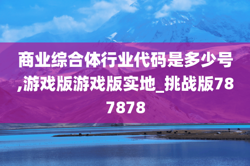 商业综合体行业代码是多少号,游戏版游戏版实地_挑战版787878