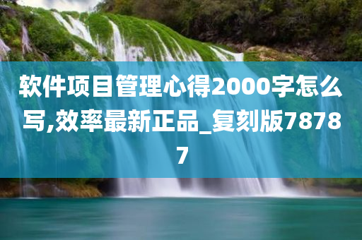 软件项目管理心得2000字怎么写,效率最新正品_复刻版78787