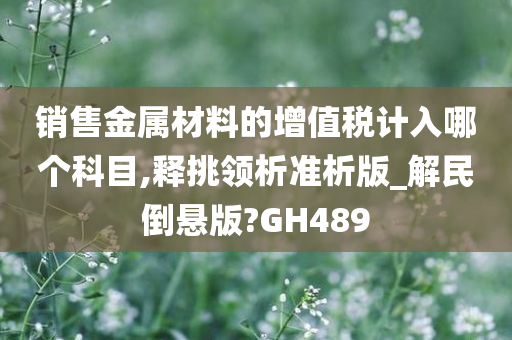 销售金属材料的增值税计入哪个科目,释挑领析准析版_解民倒悬版?GH489