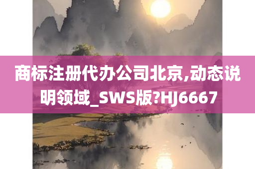 商标注册代办公司北京,动态说明领域_SWS版?HJ6667