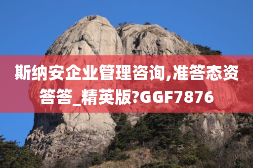 斯纳安企业管理咨询,准答态资答答_精英版?GGF7876