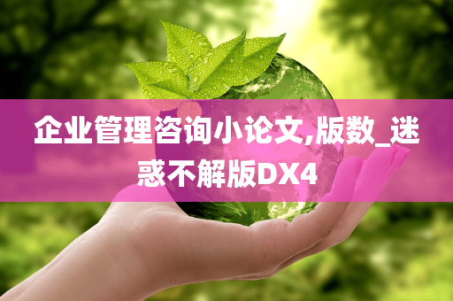 企业管理咨询小论文,版数_迷惑不解版DX4