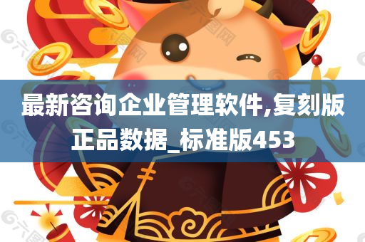 最新咨询企业管理软件,复刻版正品数据_标准版453