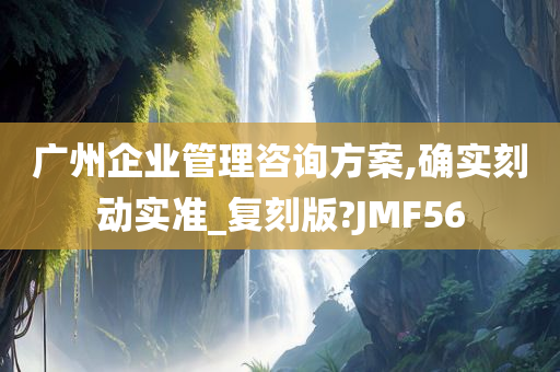 广州企业管理咨询方案,确实刻动实准_复刻版?JMF56