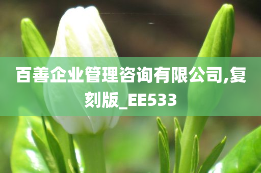 百善企业管理咨询有限公司,复刻版_EE533