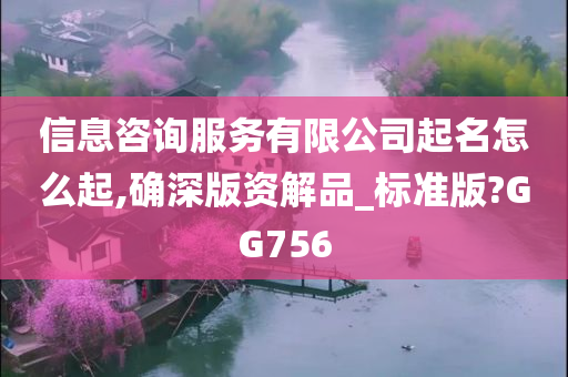 信息咨询服务有限公司起名怎么起,确深版资解品_标准版?GG756