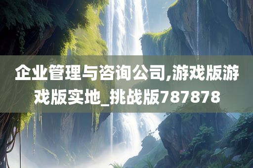 企业管理与咨询公司,游戏版游戏版实地_挑战版787878