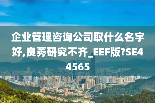 企业管理咨询公司取什么名字好,良莠研究不齐_EEF版?SE44565