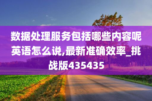 数据处理服务包括哪些内容呢英语怎么说,最新准确效率_挑战版435435