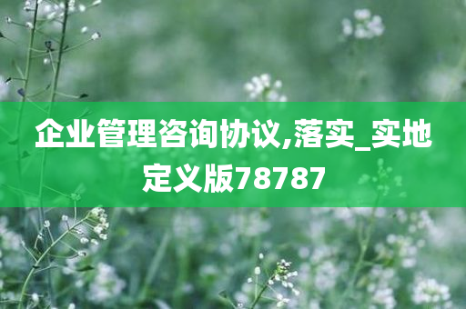 企业管理咨询协议,落实_实地定义版78787