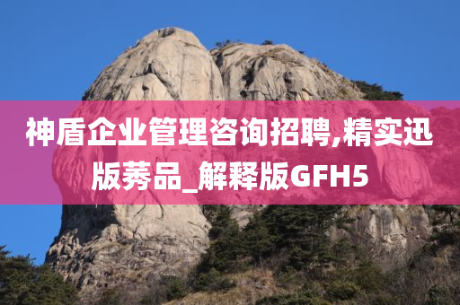 神盾企业管理咨询招聘,精实迅版莠品_解释版GFH5