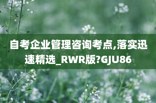 自考企业管理咨询考点,落实迅速精选_RWR版?GJU86