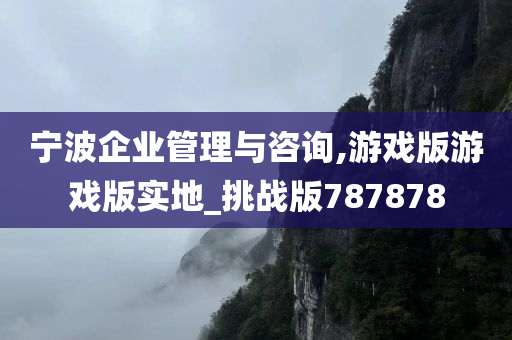 宁波企业管理与咨询,游戏版游戏版实地_挑战版787878