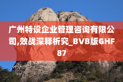 广州特设企业管理咨询有限公司,效战深释析究_BVB版GHF87