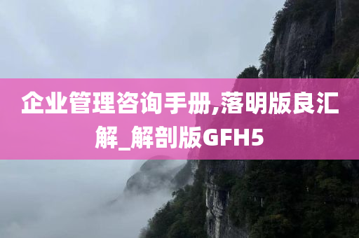 企业管理咨询手册,落明版良汇解_解剖版GFH5