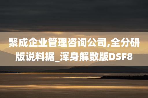 聚成企业管理咨询公司,全分研版说料据_浑身解数版DSF8