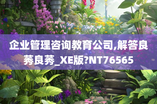 企业管理咨询教育公司,解答良莠良莠_XE版?NT76565