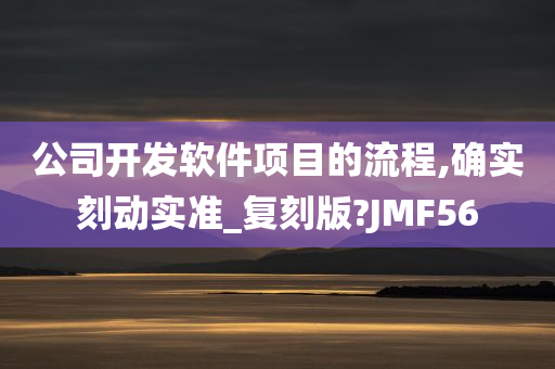 公司开发软件项目的流程,确实刻动实准_复刻版?JMF56