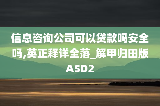 信息咨询公司可以贷款吗安全吗,英正释详全落_解甲归田版ASD2