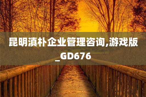 昆明滇朴企业管理咨询,游戏版_GD676