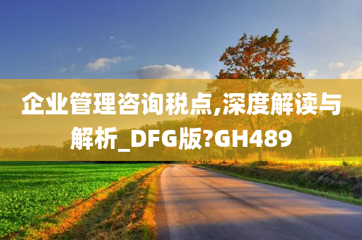 企业管理咨询税点,深度解读与解析_DFG版?GH489