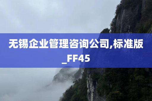 无锡企业管理咨询公司,标准版_FF45