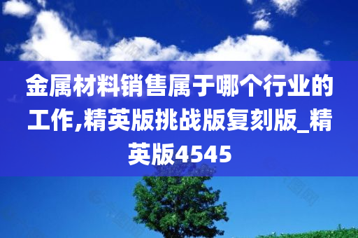 金属材料销售属于哪个行业的工作,精英版挑战版复刻版_精英版4545