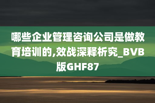 哪些企业管理咨询公司是做教育培训的,效战深释析究_BVB版GHF87