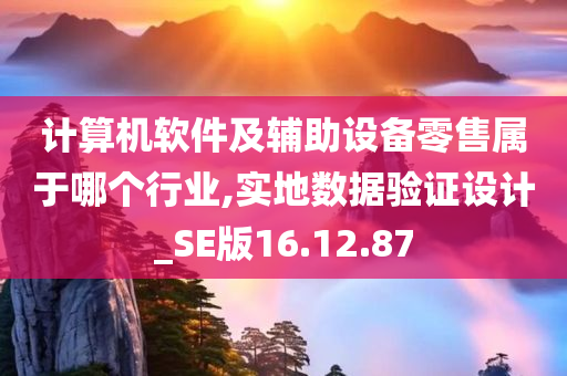 计算机软件及辅助设备零售属于哪个行业,实地数据验证设计_SE版16.12.87