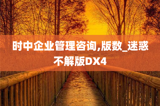 时中企业管理咨询,版数_迷惑不解版DX4