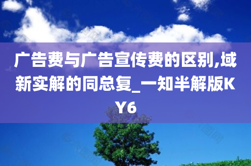 广告费与广告宣传费的区别,域新实解的同总复_一知半解版KY6